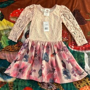 NWT Retired Ella And Lulu Floral Pink Lace Dress Size 3T